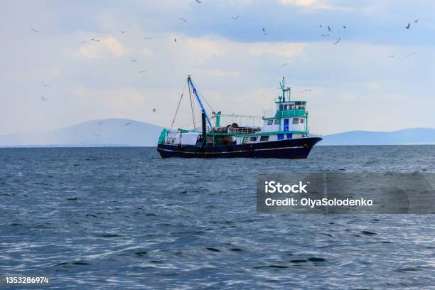 Fishing Trawler At The Black Sea In Bulgaria Stock Photo - Download Image Now - Bird, Black Sea, Blue