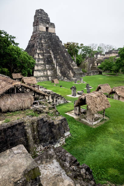 la piazza principale delle rovine maya con "tempio del grande giaguaro" al mattino, peten, guatemala - mayan temple old ruin ancient foto e immagini stock