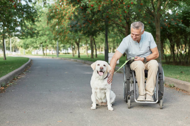 istock Man in Wheelchair with Dog 1353290905