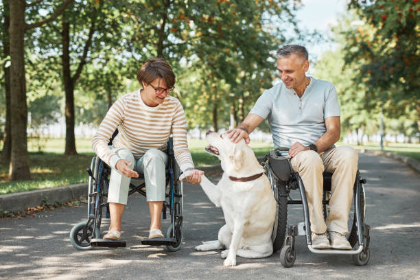 istock Couple with Disability with Dog 1353290906