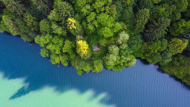 istock Coast of Lake Levico 1353293151