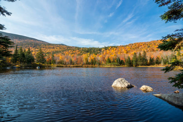 istock Foliage in the White Mountains 1353300304