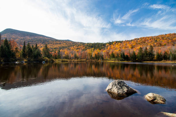 istock Foliage in the White Mountains 1353300305