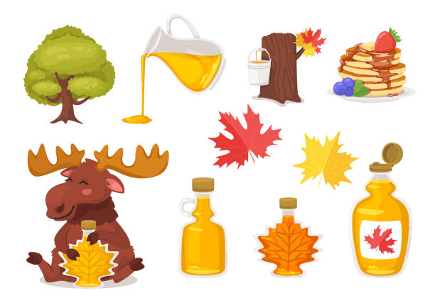 set with maple syrup, tree,  and pancakes. Vector set with maple syrup, tree,  and pancakes. Cute cartoon elk character holding maple leaf shape glass jar. Isolated on white background. maple tree stock illustrations