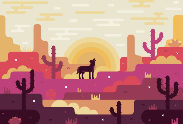 vektor flache karikatur illustration von wüste, wolf, kaktus und sonnenaufgang. spieldesign-stil - desert cactus mexico arizona stock-grafiken, -clipart, -cartoons und -symbole