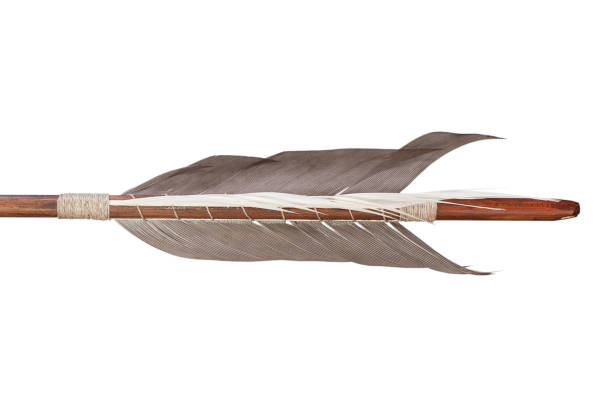 fletching de plumas de la flecha objetivo tradicional. - bow and arrow fotografías e imágenes de stock