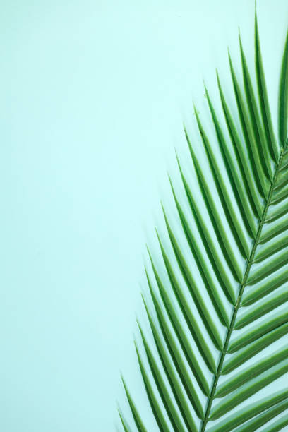 istock Lifestyle Product Background 1353313116