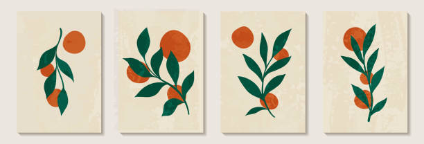 ilustrações, clipart, desenhos animados e ícones de mão minimalista criativa pintada fundo de arte abstrata com mancha laranja e rabisco desenhado à mão plantas florais. design para decoração de parede, cartão postal, pôster ou folheto - citrus fruit orange mandarin orange tangerine