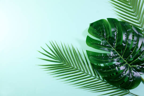 istock Lifestyle Product Background 1353313179