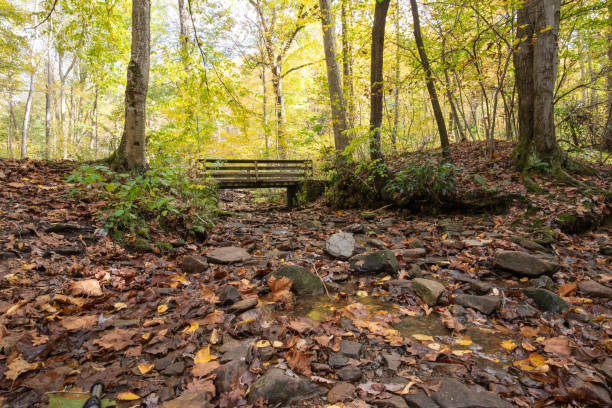 istock Bridge over a shallow stream in autumn 1353316461