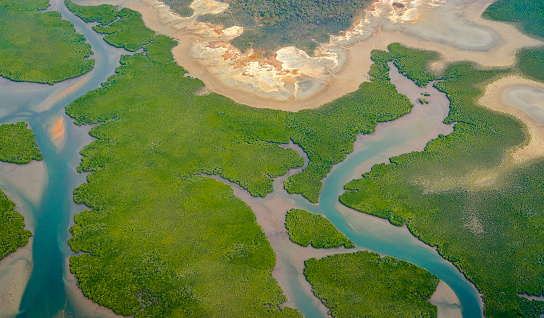 Aerial photograph of a river in North Queensland.