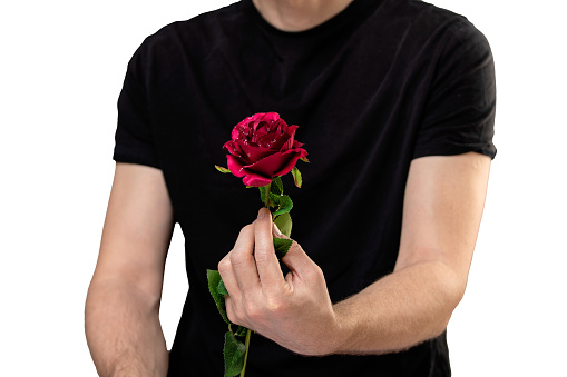 close up of man in black t-shirt holding red rose.