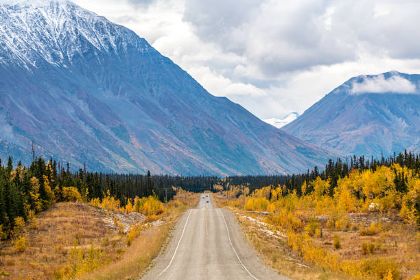 istock Road in northern Canada with golden, yellow trees 1353332584