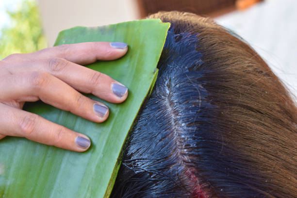 kobieta używająca liścia aloesu w zbliżeniach włosów, zielony liść aloesu do długich i zdrowych włosów - hair care human hair care nature zdjęcia i obrazy z banku zdjęć