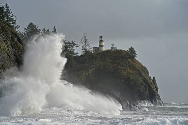 istock Storm surf at Cape Disappointment 1353338244