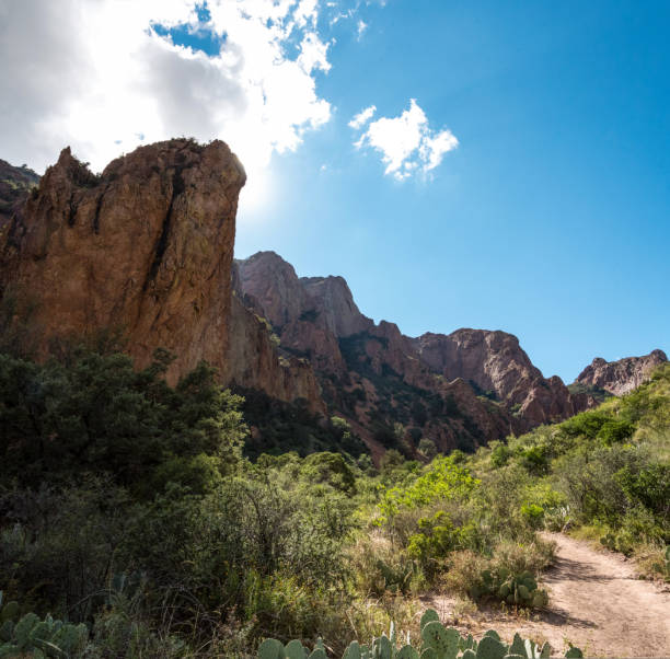 istock Scenic mountain landscape in Big Bend National Park 1353339496