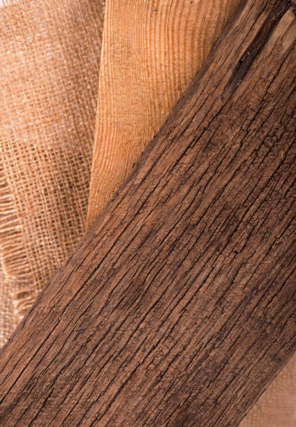 istock texture of bark wood use as natural background 1353340044