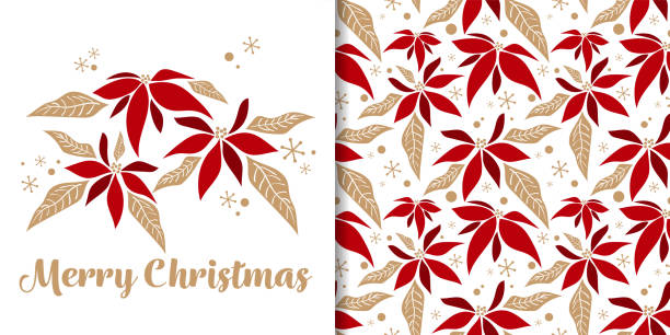 ilustrações, clipart, desenhos animados e ícones de bandeira da temporada de natal do texto de feliz natal e padrão perfeito de natal inverno poinsettia ramos de flores decorativos e flocos de neve no fundo branco. - poinsettia