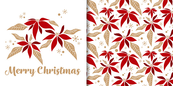 Christmas holiday season banner of Merry Christmas text and seamless pattern of Christmas winter poinsettia flower branches decorative and snowflakes on white background.