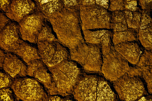 istock texture of the earth yellow tones 1353342354