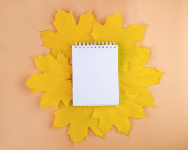 istock autumn yellow leaves and a notebook on an orange background 1353345136