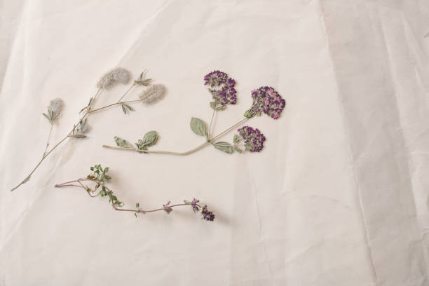 istock dried flowers on crumpled old paper 1353347009