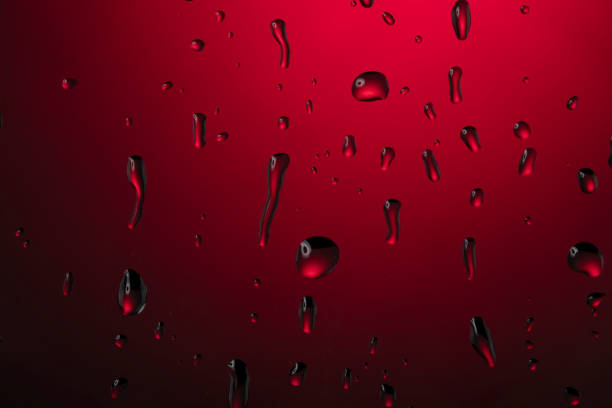 Raindrops running down the window while a hurricane is blowing a palm tree outside along with torrential rain.