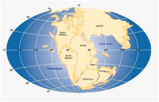 초대륙 판게아의 대지 질량의 벡터 그래픽 - continents globe continent tectonic stock illustrations