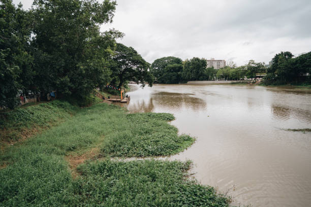 istock Landscape of the Ping river in Chiang Mai 1353352055