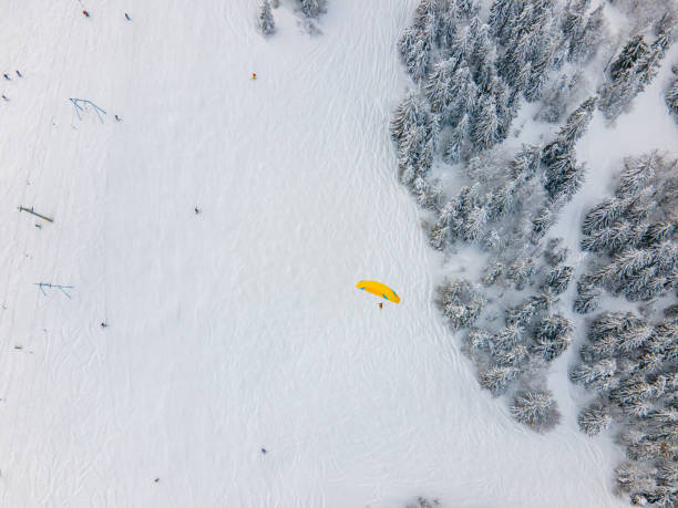 istock skier paraglider above the mountain ski slope 1353352057