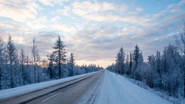 istock Winter road in the forest, trees are white with frost 1353354357