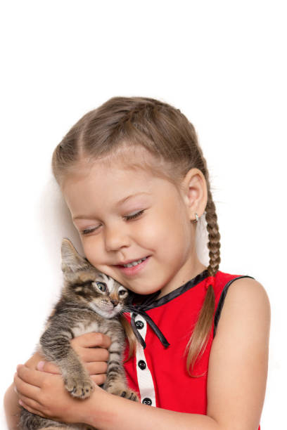 istock Isolated little girl hugging kitten on white background 1353356417