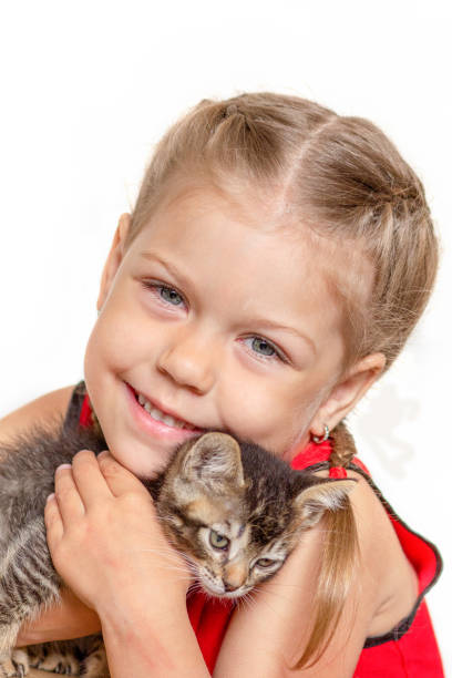 istock Isolated little girl holding kitten on white background 1353356418