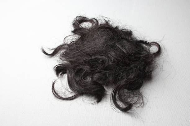 istock A lock of black hair on a white surface 1353358541