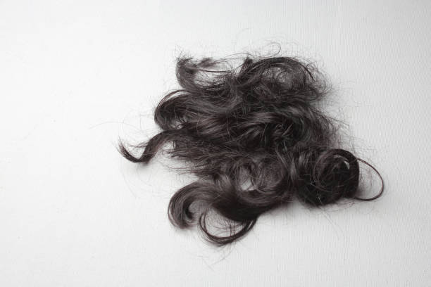 istock A lock of black hair on a white surface 1353358542