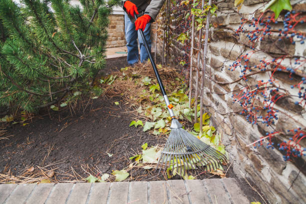 istock Gardener collects fallen leaves by long rake 1353358683