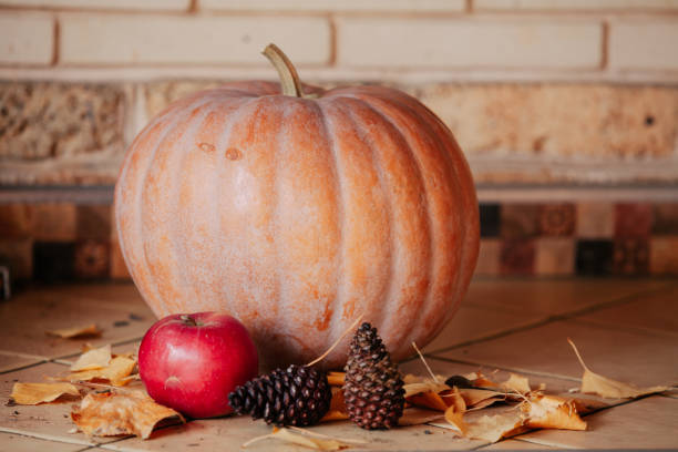 istock Round pumpkin and apple lie on shelf 1353360254