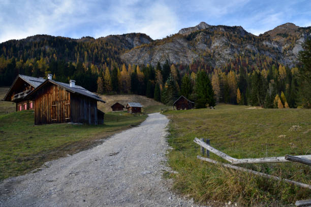 istock Fall season colors in Sappada Dolomites, Italy 1353362369