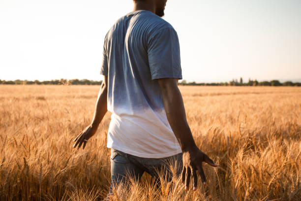 istock Rear View Of Man Standing In Field 1353364623