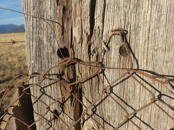 istock wire fence detail in the field 1353365280