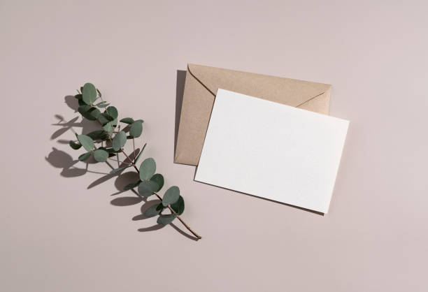 istock Summer wedding stationery mockup. Plain greeting cards, invitations, and eucalyptus leaves on a beige background. Natural light and shadow overlay. Flat lay, top view. 1353366745