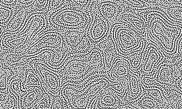 Turing Pattern Tiled Texture 910+ Turing Pattern Stock Photos, Pictures & Royalty-Free Images - iStock