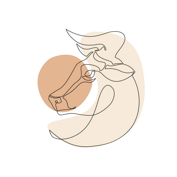 ilustrações, clipart, desenhos animados e ícones de astrológico taurus signo de uma linha de desenho - um animal