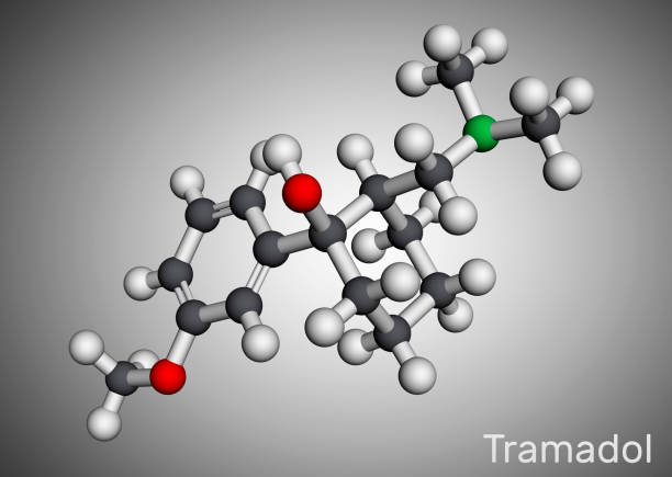 istock Tramadol molecule. It is synthetic psychotropic opioid analgesic, used for the therapy of severe pain. Molecular model 1353368444