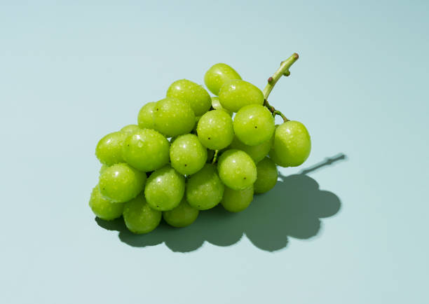 緑の背景に水滴でマスカットブドウを輝かせます。 白ブドウ。日本のブドウ。 - grape white grape green muscat grape ストックフォトと画像