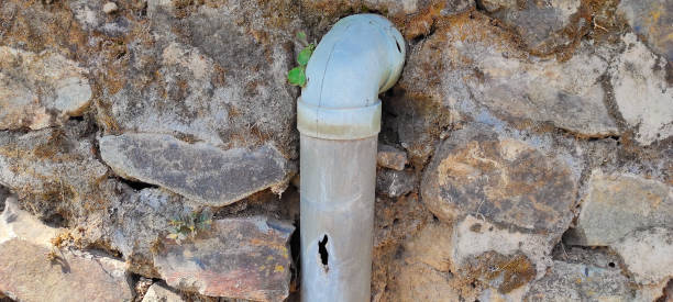 istock cracked and perforated drain pipe - stock photo 1353369014