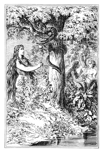 Eve talking in Garden of Eden with serpent and Adam about fruit from forbidden tree .Vintage antique drawing. Bible, New Testament.