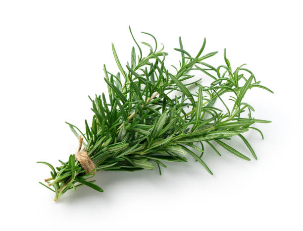 istock Fresh sprigs of rosemary on white background 1353370021