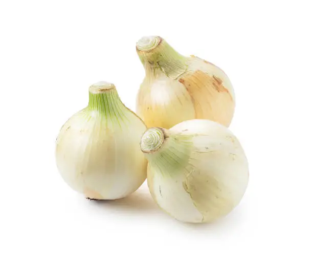 Three new onions on a white background.