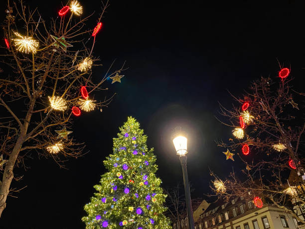 istock Illuminated christmas tree at christmas market in Strasbourg 1353370348